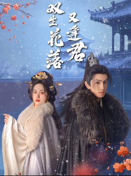 双生花落又逢君（66集）林可汉＆白雪茹 (2025)-58创客网