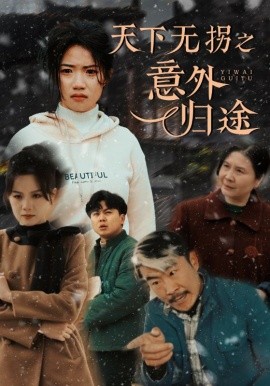 天下无拐之意外归途（61集）高洁慧 (2025)-58创客网