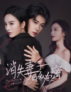 消失妻子的秘密 (2024)-58创客网