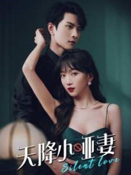 天降小哑妻 (2025)-58创客网