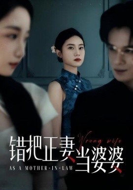 错把正妻当婆婆（46集）张英杰&张耀尹 (2025)-58创客网