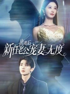 离婚后前任老公宠妻无度 (2024)-58创客网