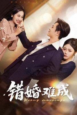 错婚难成（45集）彭程&武鸿蕊 (2025)-58创客网
