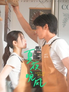 夏夜晚风（12集）何衍朝＆蔡子伊 (2025)-58创客网