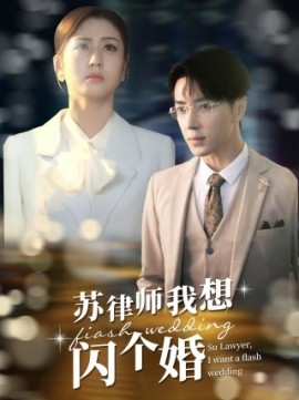 苏律师我想闪个婚 (2024)-58创客网