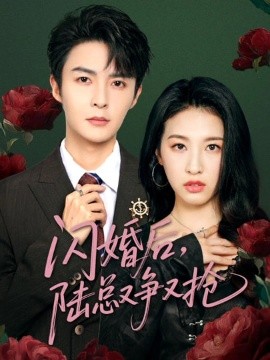 闪婚后，陆总又争又抢（83集）管栎&杜雨宸 (2025)-58创客网