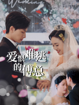 爱恨难逃的傅总 (2025)-58创客网