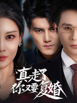 真走了你又要复婚 (2025)-58创客网