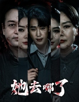 她去哪了（56集）林初 (2025)-58创客网