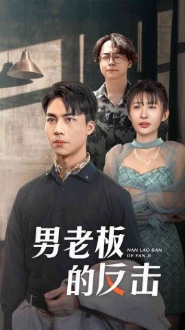 男老板的反击 (2024)-58创客网