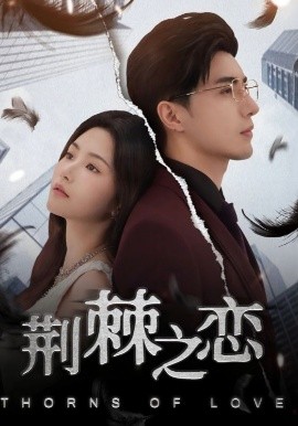 荆棘之恋（60集）李柏言&周妍坤 (2025)-58创客网