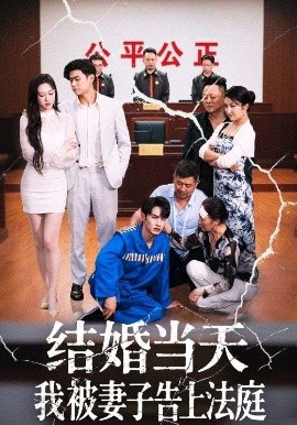 结婚当天我被妻子告上法庭（30集）王惠子&张玉忱 (2025)-58创客网