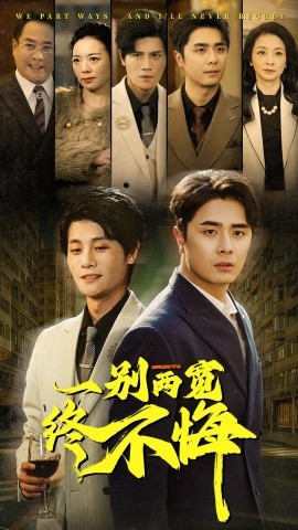 一别两宽终不悔 (2025)-58创客网