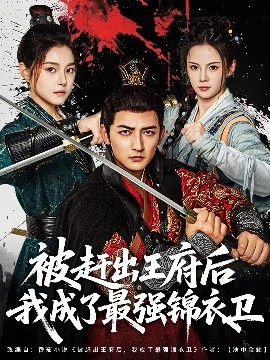 被赶出王府后我成了最强锦衣卫（80集）杜江山&一然 (2025)-58创客网