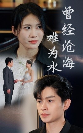 曾经沧海难为水 (2025)-58创客网