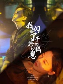 我闪孕了千亿总裁的崽 (2024)-58创客网