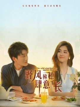 野风拂穗肆意生长 (2024)-58创客网