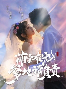 萌宝难宠！爹地请负责（80集）林可汉＆陆元 (2025)-58创客网