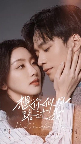 想你似风路过我 (2025)-58创客网