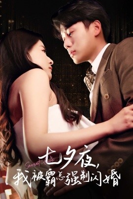 七夕夜，我被霸总强制闪婚 (2024)-58创客网