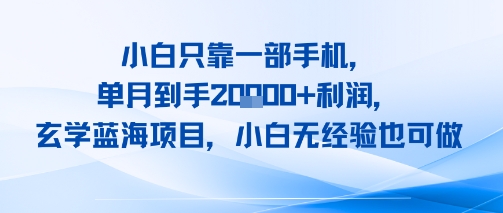 小白只靠一部手机，单月到手2W+利润，玄学蓝海项目，小白无经验也可做-58创客网