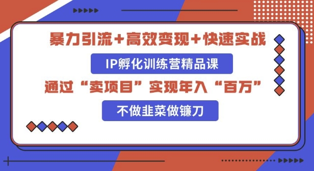 知识付费独家玩法：精准引流+高效变现，简单复制成功模式，最新IP共创导师训练营玩法-58创客网
