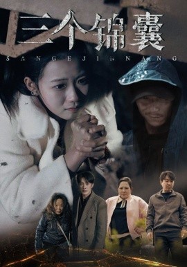 三个锦囊（70集）高洁慧 (2025)-58创客网