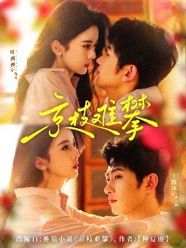京枝难攀（80集）王凯沐&六金yE(叶鑫鑫) (2025)-58创客网
