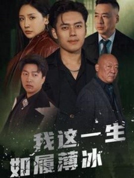 我这一生如履薄冰 (2024)-58创客网