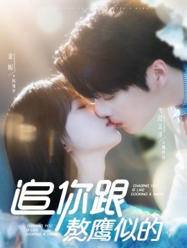 追你跟熬鹰似的（95集）段美洋＆金妮 (2025)-58创客网