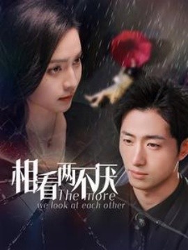 相看两不厌 (2025)-58创客网