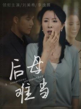 后母难当 (2025)-58创客网