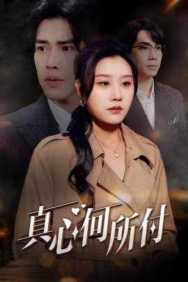真心何所付 (2025)-58创客网