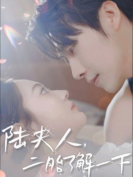 陆夫人，二胎了解一下（73集）张韫韬＆曾和惠子&袁传琪 (2025)-58创客网