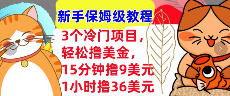 3个冷门项目，轻松撸美刀，1小时撸36刀，新手保姆级教程-58创客网