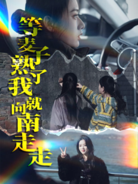 等麦子熟了我就向南走走 (2025)-58创客网