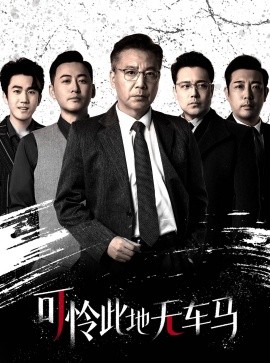可怜此地无车马 (2025)-58创客网