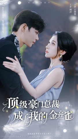 顶级豪门总裁成了我的金丝雀 (2024)-58创客网