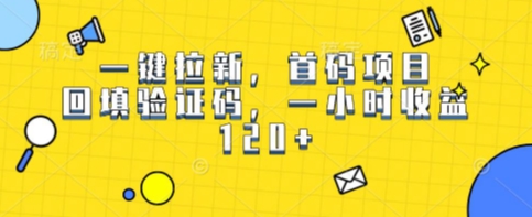 一键拉新，首码项目，回填验证码，一小时收益1张-58创客网