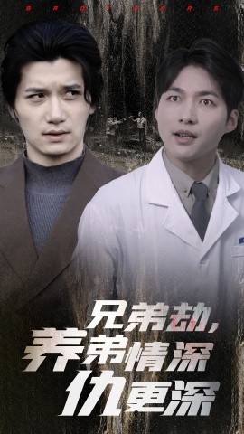 兄弟劫，养弟情深仇更深（28集）(2025)-58创客网