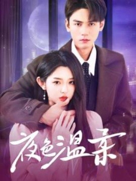 夜色温柔 (2025)-58创客网