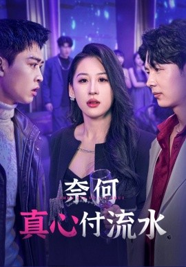 奈何真心付流水 (2025)-58创客网