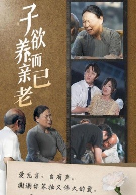 子欲养，而亲已老 (2025)-58创客网
