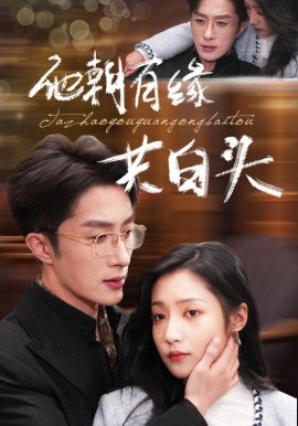他朝有缘共白头 (2024)-58创客网