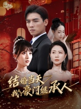 结婚当天我成了豪门继承人 (2024)-58创客网