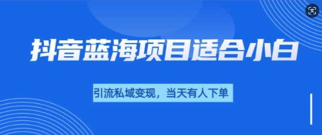 抖音蓝海小赛道私域变现项目，单价9.9单天变现100+，实操玩法分享给你-58创客网