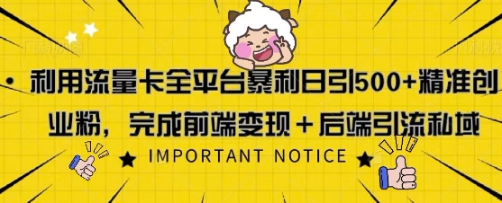 利用流量卡全平台暴利日引500+精准创业粉-58创客网