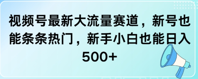 视频号最新大流量赛道，新号也能条条热门，新手小白也能日入5张-58创客网