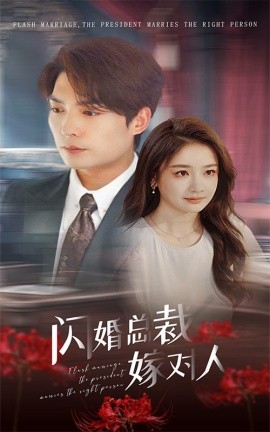 闪婚总裁嫁对人 (2024)-58创客网