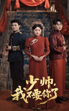 少帅，我不要你了（60集）沈国洋（清河）＆陈墁柯 (2025)-58创客网